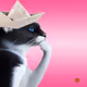 Thinking Cat #8850