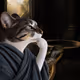 Heraclitus: Thinking Cat