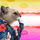 Thinking Cat #1339