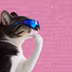 Thinking Cat #4660