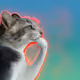 5467