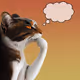 Thinking Cat #9395