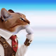 Thinking Cat #9183