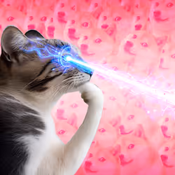 Thinking Cat #1395