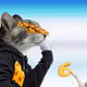 611
