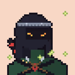 RH Ninja #1152
