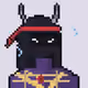 RH Ninja #1132