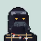 RH Ninja #114