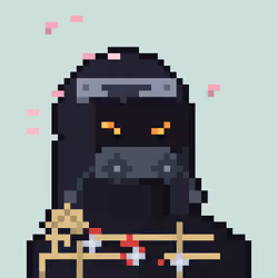 RH Ninja #377