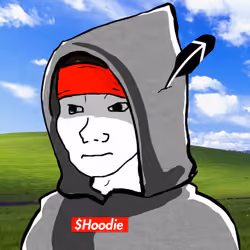 Hoodie #346