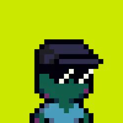 Tiny Hood #801
