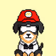 Pups #1237