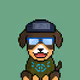 Pups #579