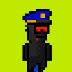 POOKA #2142