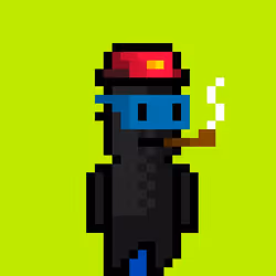 POOKA #796