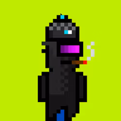 POOKA #87