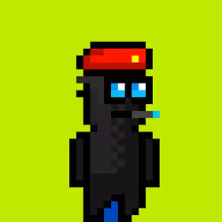 POOKA #643