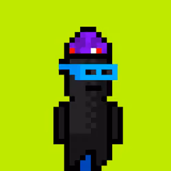 POOKA #666