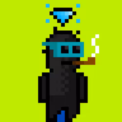 4206
