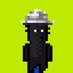 POOKA #797
