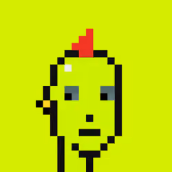 404 Origin Punk