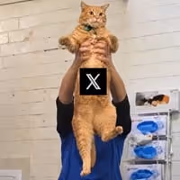 XCAT