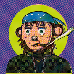 Circle Ape #564