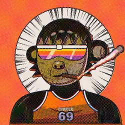 43