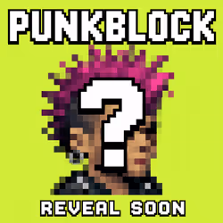 UNR PUNKBLOCK