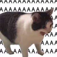 AAA