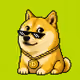 Broker Doges