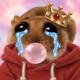 Money Mouse #1267