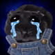 4524