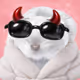 4888