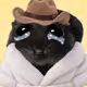 6691