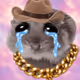 9638
