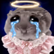 5140