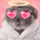 5184