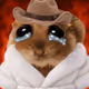 Money Mouse #4865