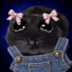 4594
