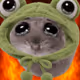 3568