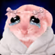 4909