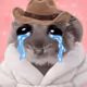 4578
