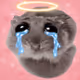 3623