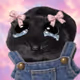 6537