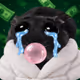 9131