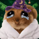Money Mouse #1914