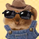 5996