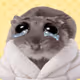 3634