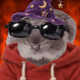 4647